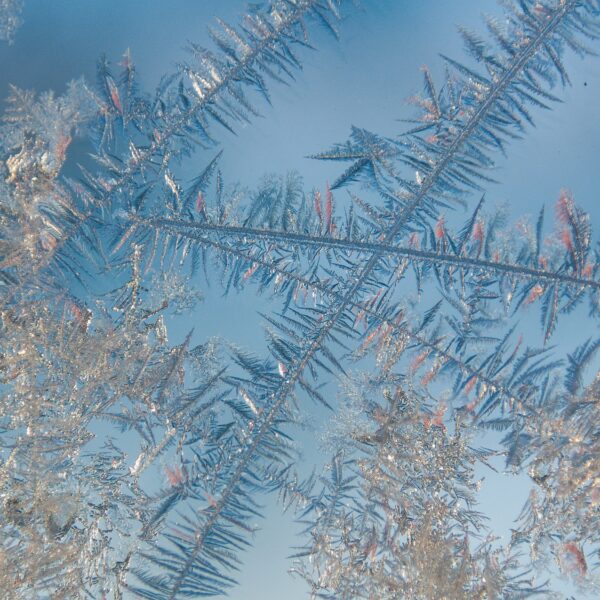 HIMMEL AUF ERDEN & SEELENBOTSCHAFT
